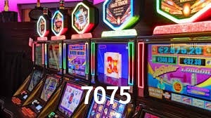 Programa VIP 7075